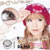ราคา Mini Tokyo Gray / Brown [0.00 สายตาปกติ] By Dreamcolor1 คอนแทคเลนส์ (45106085587)
