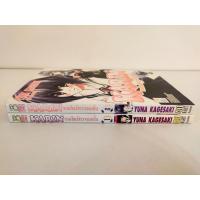 ราคา KARIN คาริน แวมไพร์สาวจอมเปิ่น เล่มเศษ แยกเล่ม 1, 2 สภาพบ้าน (23819360447)