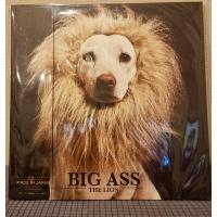 ราคา แผ่นเสียง Vinyl Big Ass อัลบั้ม The Lion (27207716771)
