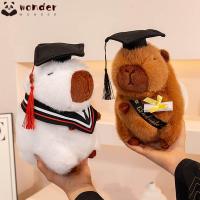 ราคา WONDER ตุ๊กตารับปริญญา, ตุ๊กตาหมีนั่งหมีขนาด 25 ซม., ชุดรับปริญญาตุ๊กตายัดไส้ตุ๊กตา Dr. ของขวัญรับปริญญาหมี (54959034705)