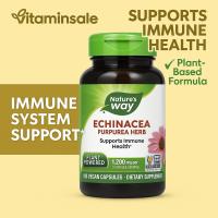 ราคา Nature's Way Echinacea 1,200mg 180 Capsules สมุนไพรเอ็กไคนาเซีย ดูแลสุขภาพประจำวัน (2695181615)