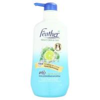 ราคา แฟซ่า เนเจอร์ คลีน แอนด์ แคร์ แชมพู สูตรสดชื่นสบายหนังศีรษะ 480มล./Feather Nature Clean and Care Scalp Shampoo 480ml. (9040770288)