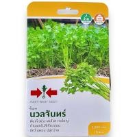 ราคา ศรแดง ขึ้นฉ่าย นวลจันทร์ (2000 เมล็ด) (24535192453)