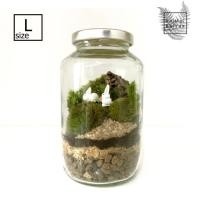 ราคา ชุดจัดสวนขวดแก้ว DIY Size L ทรงกระบอกกลม (2605644535)