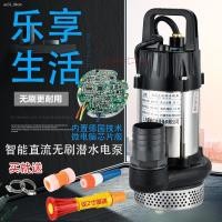 ราคา ✜✠48v60v ปั๊มน้ำ brushless dc ปั๊มจุ่ม แบตเตอรี่การเกษตร รถยนต์ ยานพาหนะไฟฟ้า ปั๊มสูบน้ำ เครื่องสูบน้ำ ชลประทานในครัวเรื (13840719748)