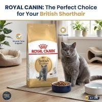 ราคา Royal Canin British Shorthair Adult 10 kg (53459467960)