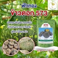 ราคา เมล็ดฟักทองข้าวตอก 573 ศรแดง เมล็ดข้าวตอกศรแดง ฟักทองลายข้าวตอก 100กรัม ฟักทองศรแดงขายดี‼️ (7380679252)
