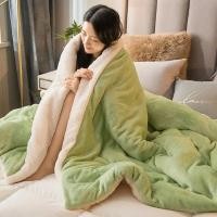 ราคา ผ้านวมขนแกะเทียมใช้ได้สองแบบสำหรับฤดูใบไม้ร่วงและ (28160717873)