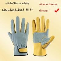ราคา ถุงมือป้องกันแรงงานหนังแท้ ทนต่อการสึกหรอ กันลื่น เชื่อม กันน้ำร้อนลวก ปอกมือ ปอกสวนทุเรียน สับปะรด (43380038417)
