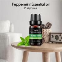 ราคา Peppermint Essential Oil 100% Field Mask Drop น้ำมันหอมระเหย กลิ่นเปปเปอร์มินท์ เพื่อผ่อนคลาย ฟรี Eucalyptus 5 ML (11879846347)