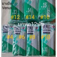 ราคา [ยกห่อ12พับ] ยางยืดแบบห่อ ยางยืดตราวีนัส(Venus) เบอร์(4,6,8,10,12,14,16) ยางยืดกางเกง-กระโปรง (22240548118)