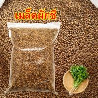 ราคา MK 1KG เม็ดผักชี เมล็ดผักชี ผักชี ผักชีไทย ผักชี เมล็ดผักชี เม็ดผักชี ลูกผักชี ผักชีเมล็ดผักชี ลูกผักชี (26386390305)