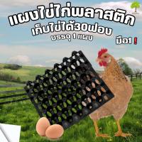ราคา ถาดไข่พลาสติก ไข่ไก่,เป็ด เบอร์ใหญ่ 0-3 บรรจุ1แผง มือ1 ขนาด 30x30x5 ซม. (41226600897)