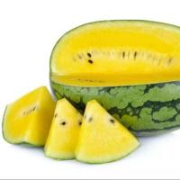 ราคา 12 เมล็ด แตงโม บะเต้า แต่เต้าส่า Watermelon Seeds Non-GMO สายพันธุ์ แตงโม รันรัน (41922554479)