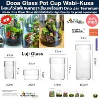ราคา Dooa Glass Pot Cup Wabi-Kusa โหลแก้ว Terrarium โหลจัดสวนขวด โหลเทอราเรียม โหลปลูกต้นไม้ โหลอบต้นไม้ Wabi-Kusa Bioloark (25922679033)