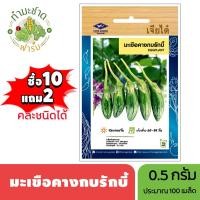 ราคา เจียไต๋ (ซื้อ10แถม2) เมล็ดพันธุ์ มะเขือคางกบรักบี้ ขนาด0.5กรัม ประมาณ150เมล็ด Eggplant มะเขือคางกบ เมล็ดพันธุ์พืช (3128045551)