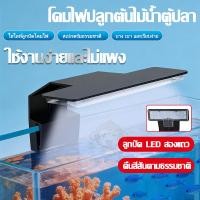 ราคา โคมไฟตู้ปลา เอลอีดี ขนาด คลิปติดตู้ปลา มุมกว้าง 180° เหมาะตู้ปลาพืชน้ำ จำลองแสงธรรมชาติ ใช้ในตู้ปลา (41777525310)