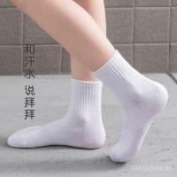 ราคา ถุงเท้าระบายอากาศสำหรับเด็กและผู้ใหญ่ ทำจากผ้าฝ้าย สไตล์กระโหลก ใส่สบาย เหมาะสำหรับการซ้อมกีฬาและสวมใส่ทุกวัน (52858738807)