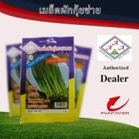 ราคา ผักซองAAAเมล็ดพันธุ์กุยช่าย (26962205528)