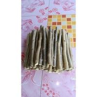 ราคา กิ่งสดมัลเบอรี่ดำออสตุรกีสายพันธุ์แท้จากสวนชุด20กิ่ง (29001912248)