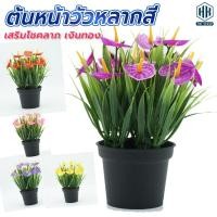 ราคา ต้นหน้าวัว ต้นหน้าวัวประดิษฐ์ ต้นไม้ประดิษฐ์ ต้นหน้าวัวปลอม ต้นไม้ตกแต่ง ตกแต่งสวน (21763957075)