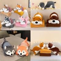 ราคา ตุ๊กตาหมอนผ้าห่ม หมาชิบะ หมาไซบีเรียน น่ารักๆ (21564175811)