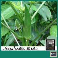 ราคา เมล็ดกระเจี๊ยบเขียว กระเจี๊ยบมอญ 30 เมล็ด เมล็ดพันธุ์ผัก เมล็ดผัก เมล็ดพันธุ์กระเจี๊ยบ ผักสวนครัว (15243802502)