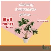 ราคา ((WALL PLANT SERIES)) ต้นซานาดูปลอมพร้อมกระถางติดผนัง ** แถมที่ติดกระถาง ไม่ต้องเจาะผนัง!! ** (8537600271)