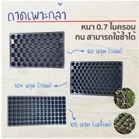 ราคา แพ๊ค 5 ใบ ถาดเพาะกล้า 60,104,105,200 หลุม ถาดเพาะชำ ถาดเพาะเมล็ด ถาดเพาะ เพาะเมล็ด เพาะปลูก (6342682386)