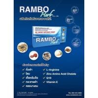 ราคา Rambo Herb แรมโบ้ อาหารเสริมอาร์.บี สมุนไพร อาหารเสริม ท่านชาย 1กล่อง4เม็ด (27674145673)