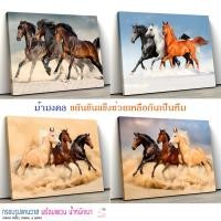 ราคา กรอบรูป ภาพแต่งบ้าน รูปติดผนัง ภาพม้า ม้า 3 ตัว เสริมโชคลาภ ภาพมงคล เสริมดวง เสริมฮวงจุ้ย กรอบลอยแคนวาสพร้อมแขวน AS8 (5116060183)