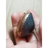 ราคา เครื่องรางเบี้ยแก้หมง18k (24043741278)