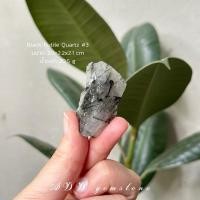 ราคา Black Rutile Quartz | ไหมดำ หรือแก้วขนเหล็ก #3 #หินดิบ ป้องกันอันตรายจากภูตผี แคล้วคลาดจากอันตราย - ADD gemstone (28665687366)