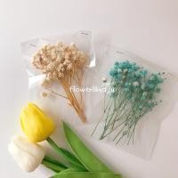ราคา ดอกไม้แห้ง - ดอกยิปโซ สีขาวธรรมชาติและสีฟ้า (13714794724)