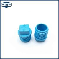 ราคา ปลั๊ก อุด PVC พีวีซี เกลียว นอก หนา-ฟ้า ตราช้าง ขนาด 1/2" #VALVE PLUG-WS B (6444147548)