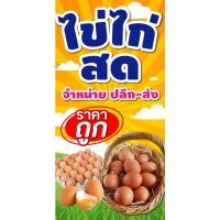 ราคา ป้ายไวนิล ไข่ไก่สด แนวตั้ง-แนวนอน ขนาด 50x100 ซม.ตาไก่ 4 มุม ป้ายโฆษณา ป้ายอิงค์เจ็ท พิมพ์ป้ายร้านค้า (13399921401)