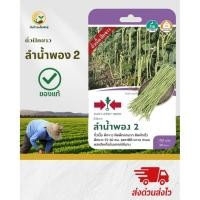 ราคา เมล็ดพันธุ์ถั่วฝักยาวลูกผสม "ลำน้ำพอง 2" (27591600888)