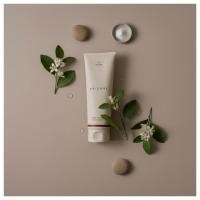 ราคา [MECHAI] Cica Salve Cream 250ml, Intensive Soothing Moisturizing Barrier Care Cream *BEST ITEM* (41779701061)