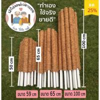 ราคา หลักต้นไม้/หลักมะพร้าว/เสาไม้เลื้อย/หลักไม้เลื้อย/เสาหลักใยมะพร้าว/ไม้เกาะเลื้อย/เสาใยมะพร้าว/เสาไม้เลื้อยยาว (4052088298)