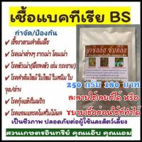 ราคา บีเอส 250กรัม , บาซิลลัส ซับทีลิส , BS ป้องกันกำจัดเชื้อรา โรครากเน่าโคนเน่า ใบไหม้ แคงเกอร์ แอนแทรคโนส ยางไหล กุ้งแห้ง (6776209961)