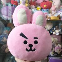 ราคา หมอน bt21 tinytan มือสอง (43701969430)