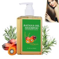 ราคา Gaukomzs Batana Oil & Rosemary Shampoo, Nourishing & Regenerating, 10.14 fl oz/300ML (54909511221)
