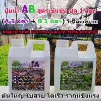 ราคา ปุ๋ย AB ปุ๋ยน้ำขนาด1ลิตร A+B ปลูกผักสลัด ปลูกผักไฮโดรโปนิกส์ คุณภาพดี ส่งจากสวนผักใช้เอง คุ้มค่า คุ้มราคา (24065039784)