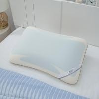 ราคา หมอนหนุนคูลลิ่งเจล ขนาด 60x40x14 ซม. (53655242687)