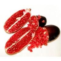 ราคา ต้นมะนาวนิ้วมือ มะนาวคาเวียร์ Finger lime พันธุ์ CRIMSON TIDE ลำต้นสูง 30 ซม (8670273579)