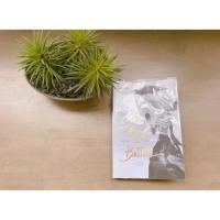 ราคา หนังสือ no rain in britain (449070703)