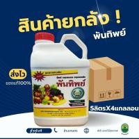 ราคา พันทิพย์ยกลัง 4 แกลลอน (27664709340)