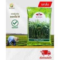 ราคา ยกลังมี 24 ถุงผักบุ้งจีนพันธุ์ ยอดไผ่ 9 ถุงละ 1 kg. (43875506429)