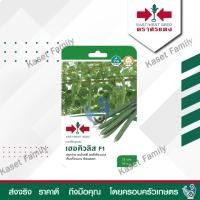 ราคา บวบเหลี่ยม เฮอคิวลิส 25 เมล็ด เมล็ดบวบเหลี่ยม ตราศรแดง (19820991220)