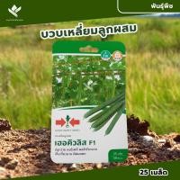 ราคา เมล็ดพันธุ์ บวบเหลี่ยมลูกผสม เฮอคิวลิส F1 ตราศรแดง ขนาดบรรจุประมาณ 25 เมล็ด อายุเก็บเกี่ยว 38-42 วัน (24562247070)